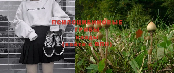 mix Абаза