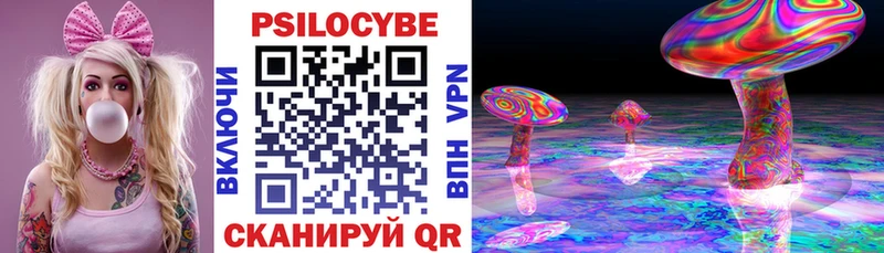 где можно купить наркотик  Отрадный  маркетплейс какой сайт  Псилоцибиновые грибы Psilocybine cubensis  mega  