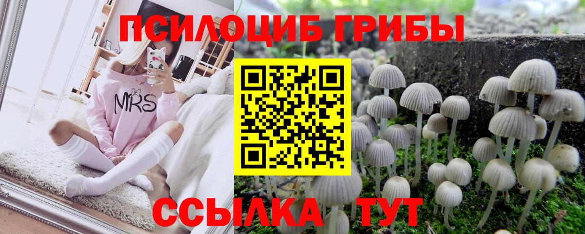 Галлюциногенные грибы мухоморы  Галлюциногенные грибы MAGIC MUSHROOMS  Отрадный  купить наркотики цена  Вход с VPN 